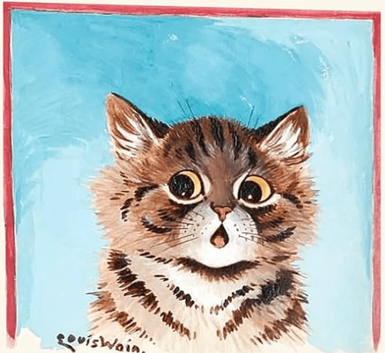 Elm Lowther's profile picture